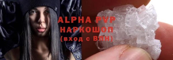 PSILOCYBIN Балахна