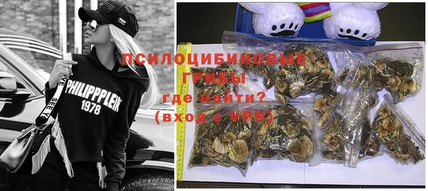PSILOCYBIN Балахна