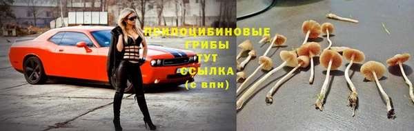 соль ск Баксан