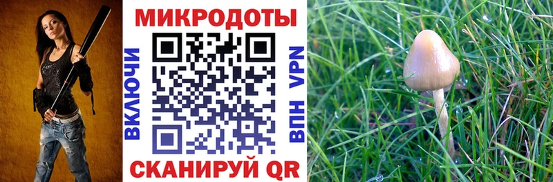 Псилоцибиновые грибы мухоморы  OMG маркетплейс  Суворов 